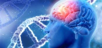 5 عادات تضر بصحة الدماغ