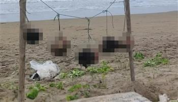 رعب في الإكوادور.. رؤوس بشرية معلقة على الشاطئ مع رسالة تحذير