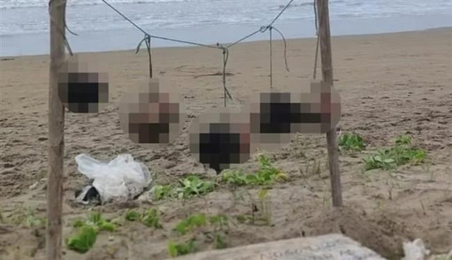 رعب في الإكوادور.. رؤوس بشرية معلقة على الشاطئ مع رسالة تحذير