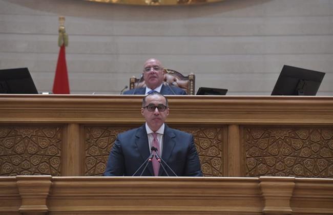 المستشار محمود فوزي يؤكد ثقة الحكومة في التعاون المثمر والبناء بينها وبين مجلس النواب