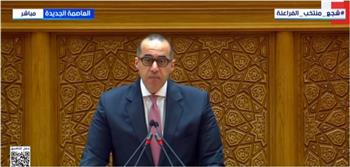 محمود فوزي: الرئيس السيسي لم يتقبل أن تمر الانتخابات إلا للانتصار لإرادة الجماهير