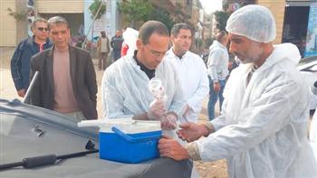 محافظ البحيرة: حملة عاجلة للتعقيم ولتطعيم الكلاب الضالة ضد مرض السعار برشيد