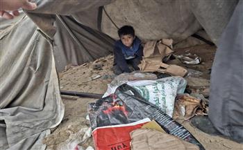 المكتب الإعلامي الحكومي بغزة: 127 ألف خيمة من أصل 135 ألفا غير صالحة للإقامة