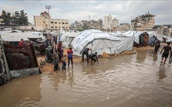 "أوتشا": أكثر من مليون شخص في غزة بحاجة ماسة إلى المأوى مع استمرار العواصف المطرية