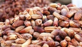 تعرف على أسعار البلح اليوم الثلاثاء 13-1-2026 في سوق العبور | إنفوجراف