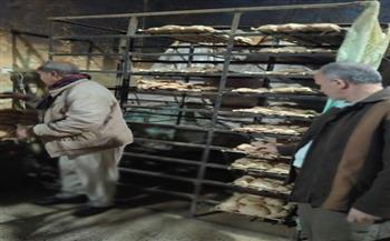 جهود الوحدة المحلية لمركز ومدينة ناصر في ملفات النظافة ومواجهة التعديات وتحسين مستوى الخدمات المقدمة للمواطنين