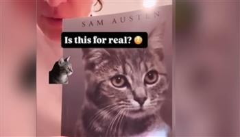 300 صفحة من الـ"مياو".. أغرب كتاب يمكن أن يقابلك في حياتك