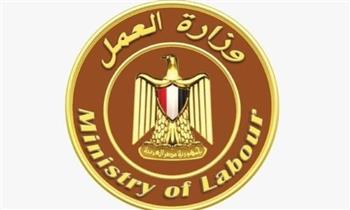 وزارة العمل تُعلن عن فرص عمل جديدة بمشروع الضبعة النووية