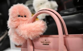 روبوت عاطفي لنشر البهجة.. «ميرومي» يحلّ مكان « لابوبو» في 2026