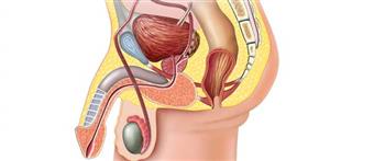 لمرضى البروستاتا.. نصائح للوقاية من زيادة الأعراض في الشتاء