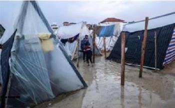 رغم الأوضاع الجوية القاسية.. مصر تواصل لإدخال المساعدات إلى غزة