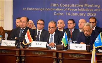 وزير الخارجية: الأزمة السودانية تستدعي تضافر الجهود الدولية والإقليمية للإسراع بوقف نزيف الدماء