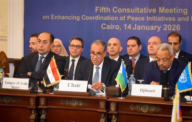 وزير الخارجية: الأزمة السودانية تستدعي تضافر الجهود الدولية والإقليمية للإسراع بوقف نزيف الدماء