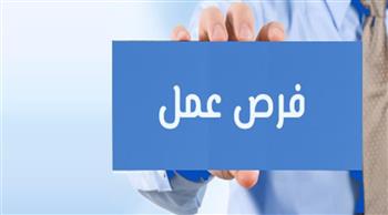 20 ألف جنيه في الشهر.. تفاصيل وظائف وزارة العمل ببورسعيد
