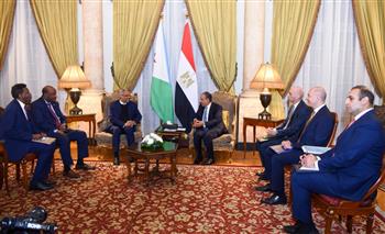 وزير الخارجية يبحث مع نظيره الجيبوتي سبل تعزيز العلاقات الثنائية 
