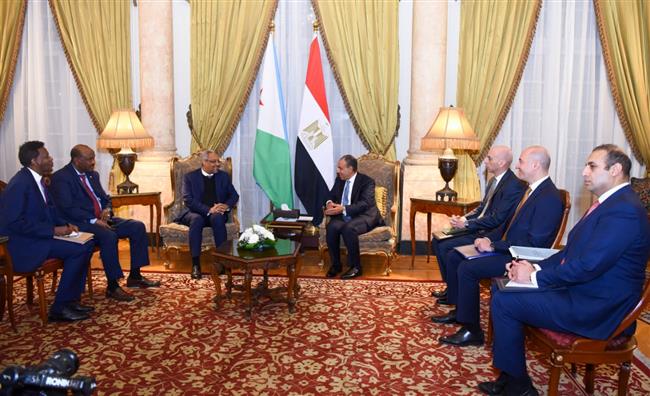وزير الخارجية يبحث مع نظيره الجيبوتي سبل تعزيز العلاقات الثنائية 