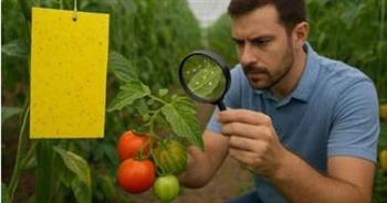 المبيدات الحيوية..  حل الطبيعة لحماية المحاصيل