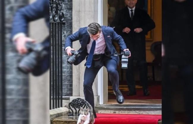 "كبير صائدي الفئران".. القط "لاري" يحرج مصور رئيس بولندا