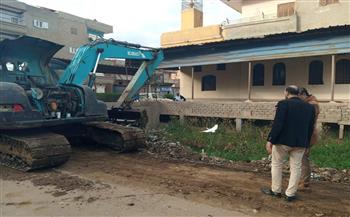 حملة نظافة ورفع 340 طن تجمعات القمامة وتطهير الترع بقرية دميرة مركز طلخا