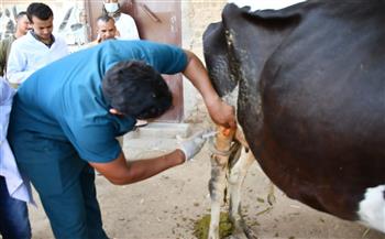 مديرية الطب البيطري بسوهاج تواصل إطلاق قوافلها المجانية لدعم الثروة الحيوانية