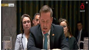  المندوب الأمريكي بمجلس الأمن:  ترامب والمجتمع الدولي لن يتسامحا مع قتل المتظاهرين في إيران