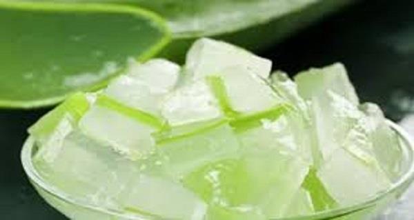 أيهما أفضل لصحة شعرك في الشتاء زيت الصبار أم زبدة الشيا؟