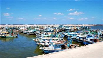 محافظ كفر الشيخ: استئناف الملاحة البحرية بالمتوسط.. وعودة رحلات الصيد بنهر النيل وبحيرة البرلس