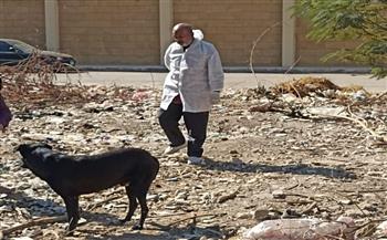 الطب البيطري بسوهاج يكثف مجهوداته لمكافحة ظاهرة كلاب الشوارع 