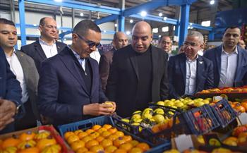 وزير الاستثمار يتفقد المناطق الاستثمارية بالقليوبية والدقهلية