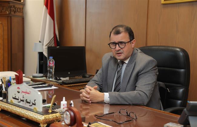 مساعد وزير الخارجية: نقلة نوعية في العلاقات مع أفريقيا تعكس خصوصيتها في الدبلوماسية المصرية