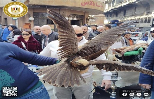 القائم بأعمال وزير البيئة: ضبط طيور وحيوانات برية محظور تداولها بسوق "ديانا"