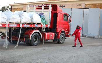 انطلاق قافلة المساعدات الإنسانية الـ118 من مصر إلى غزة