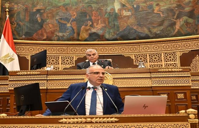 ننشر كلمة وزير الري في مجلس الشيوخ