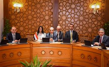 وزير الخارجية: مستعدون لتقديم الدعم اللازم لمجلس الأعمال المصري-الكندي لتعزيز دوره في جذب الاستثمارات