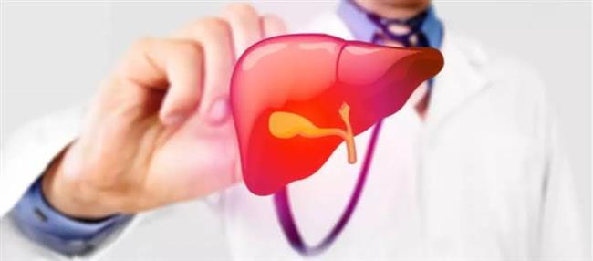 خطوات مهمة لعلاج دهون الكبد (الكبد الدهني)