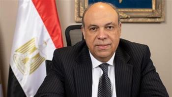   «د. الحفنى»:  الطيران قاطرة رئيسية للتنمية الشاملة