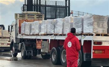 وسط الأمطار.. الهلال الأحمر يُسير قافلة «زاد العزة» 119 بحمولة أكثر من 233 ألف سلة غذائية 