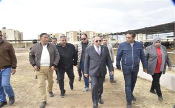 محافظ بورسعيد يتفقد محطة تسمين الماشية بجنوب بورسعيد بعد استقبال 300 رأس ماشية كمرحلة أولى