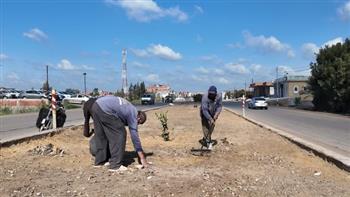  محافظ كفرالشيخ يتابع رفع كفاءة الجزيرة الوسطى وأعمال النظافة والتشجير 