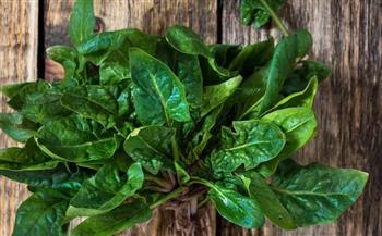 لو عندك أنيميا.. فواكه وخضراوات تساعد على زيادة نسبة الحديد في الجسم