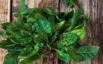 لو عندك أنيميا.. فواكه وخضراوات تساعد على زيادة نسبة الحديد في الجسم