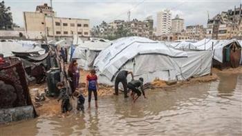 مصر ودول عربية وإسلامية يعربون عن القلق البالغ إزاء تدهور الوضع الإنساني في قطاع غزة