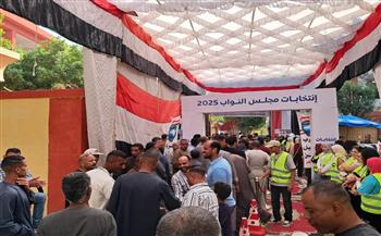 الأقصر تستعد لجولة الإعادة بانتخابات مجلس النواب وسط إجراءات تنظيمية وأمنية مكثفة