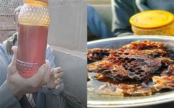 يحرس الموتى.. استخراج 13 خلية نحل من داخل مقبرة بالمنوفية