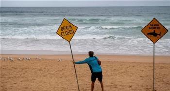 لأجل غير مسمى.. إغلاق 34 شاطئًا في سيدني بسبب القروش