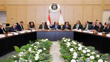 الحكومة توافق على مشروعين صناعيين بقناة السويس لتصنيع المبيدات وإطارات السيارات