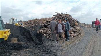 لجنة للمرور والمتابعة والتفتيش على مكامير الفحم النباتي بمراكز الدقهلية 