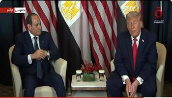 الرئيس السيسي: نطلب من الرئيس ترامب استمرار رعايته لملف غزة حتى تحقيق الخطة كاملة