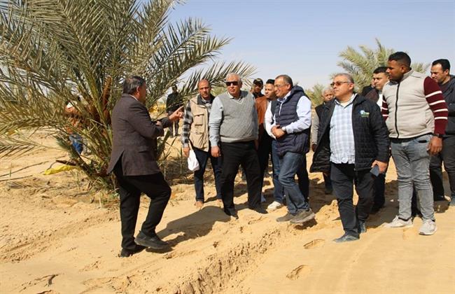خلال زيارته للفرافرة.. "الزملوط" يتفقّد عددًا من المشروعات الزراعية بسهل بركة