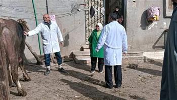 محافظ الدقهلية: تحصين 68 ألف رأس ماشية ضد الحمى القلاعية والوادي المتصدع